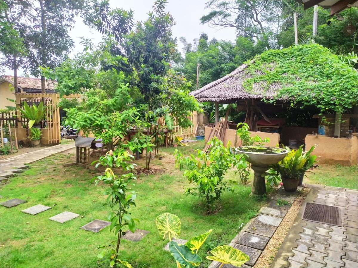 Cinnamon House Hiriketiya Диквела Екстериор снимка